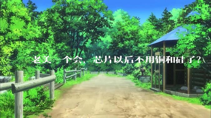 老美一个会，芯片以后不用铜和硅了？_电子器件_晶体管_材料