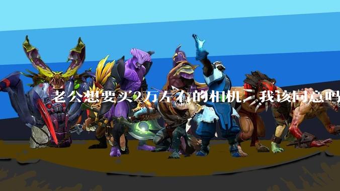 老公想要买2万左右的相机，我该同意吗？