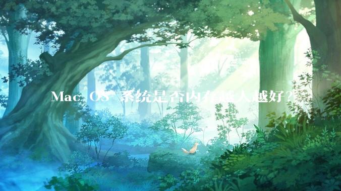 Mac OS 系统是否内存越大越好？