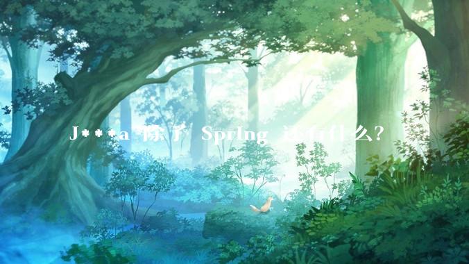 J***a 除了 Spring 还有什么？