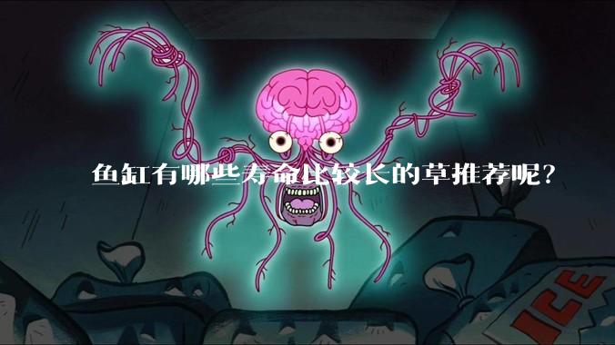 鱼缸有哪些寿命比较长的草推荐呢？