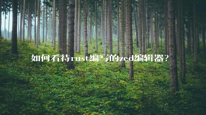 如何看待rust编写的zed编辑器？