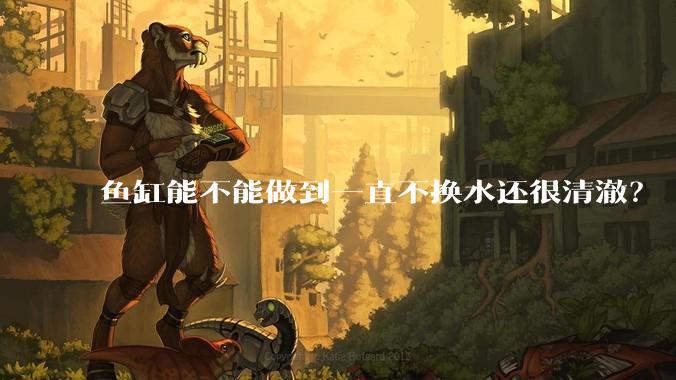 鱼缸能不能做到一直不换水还很清澈？