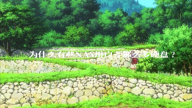 为什么有些NAS用户弄那么多硬盘?