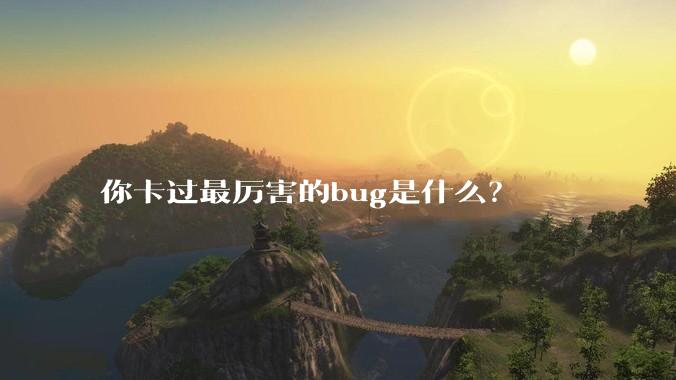 你卡过最厉害的bug是什么？